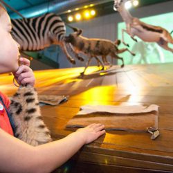 Voorkom de zomerdip tip: bezoekje aan een museum voorkom een zomerdip - DoeenOntdek_lead_new